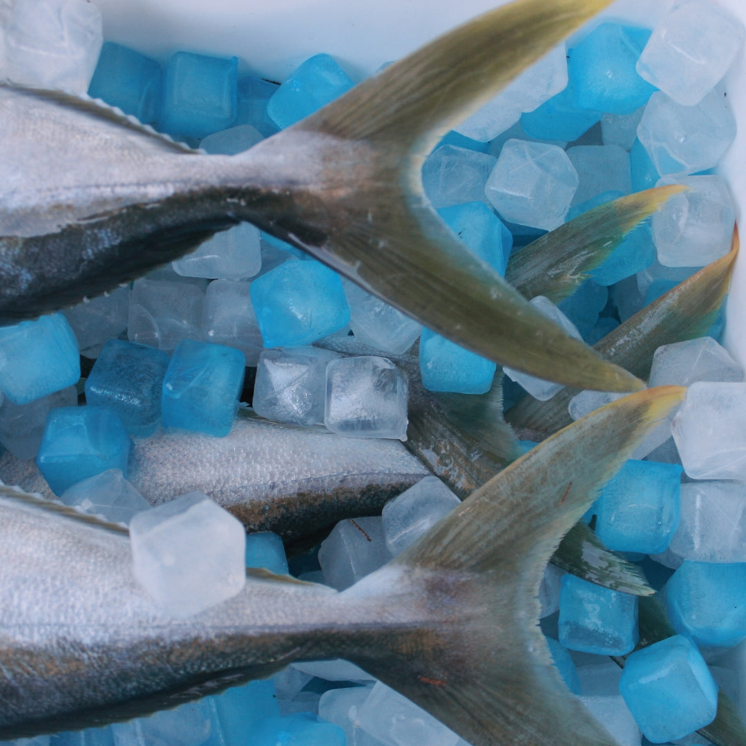 FOREVER FREEZE BAG